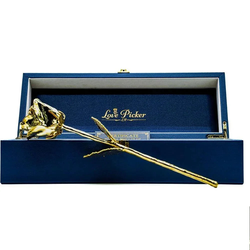 24K Gold Dipped Natural Rose 11.5
