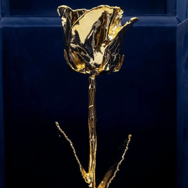 DaVinci's Blue Trio - Three Roses. One Forever Moment.