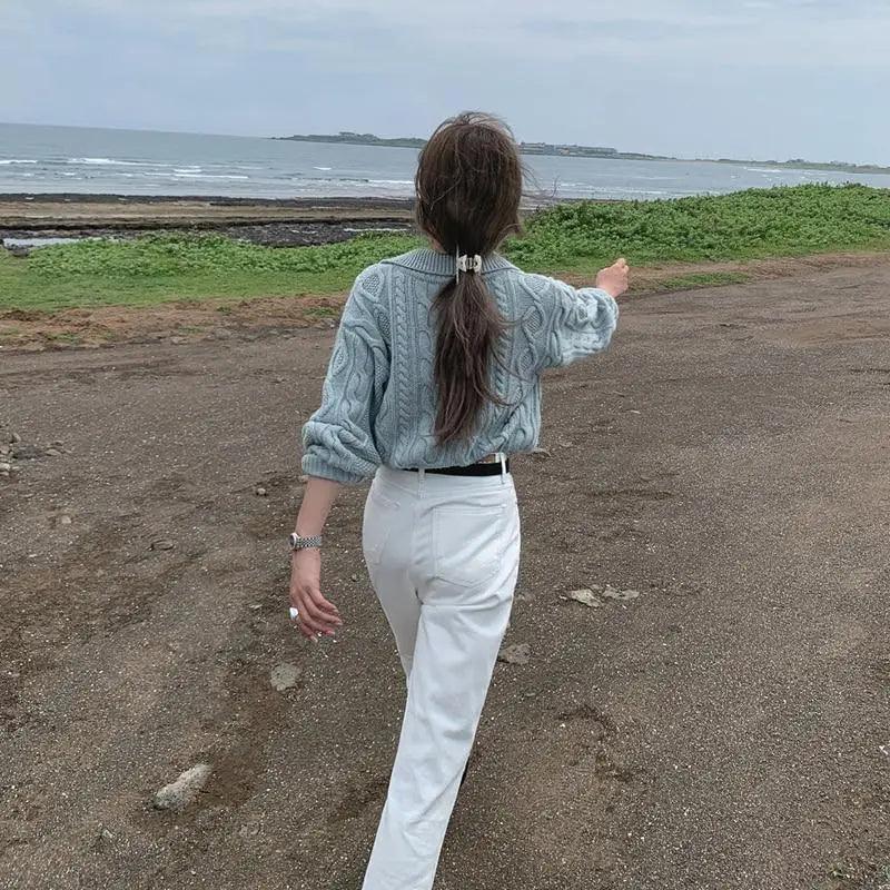 Luxury Kitty Retro Women Sweater Pullovers Knitted Casual Solid Autumn Turn-down Collar Feminine Loose All Match Soft Sweet Tops