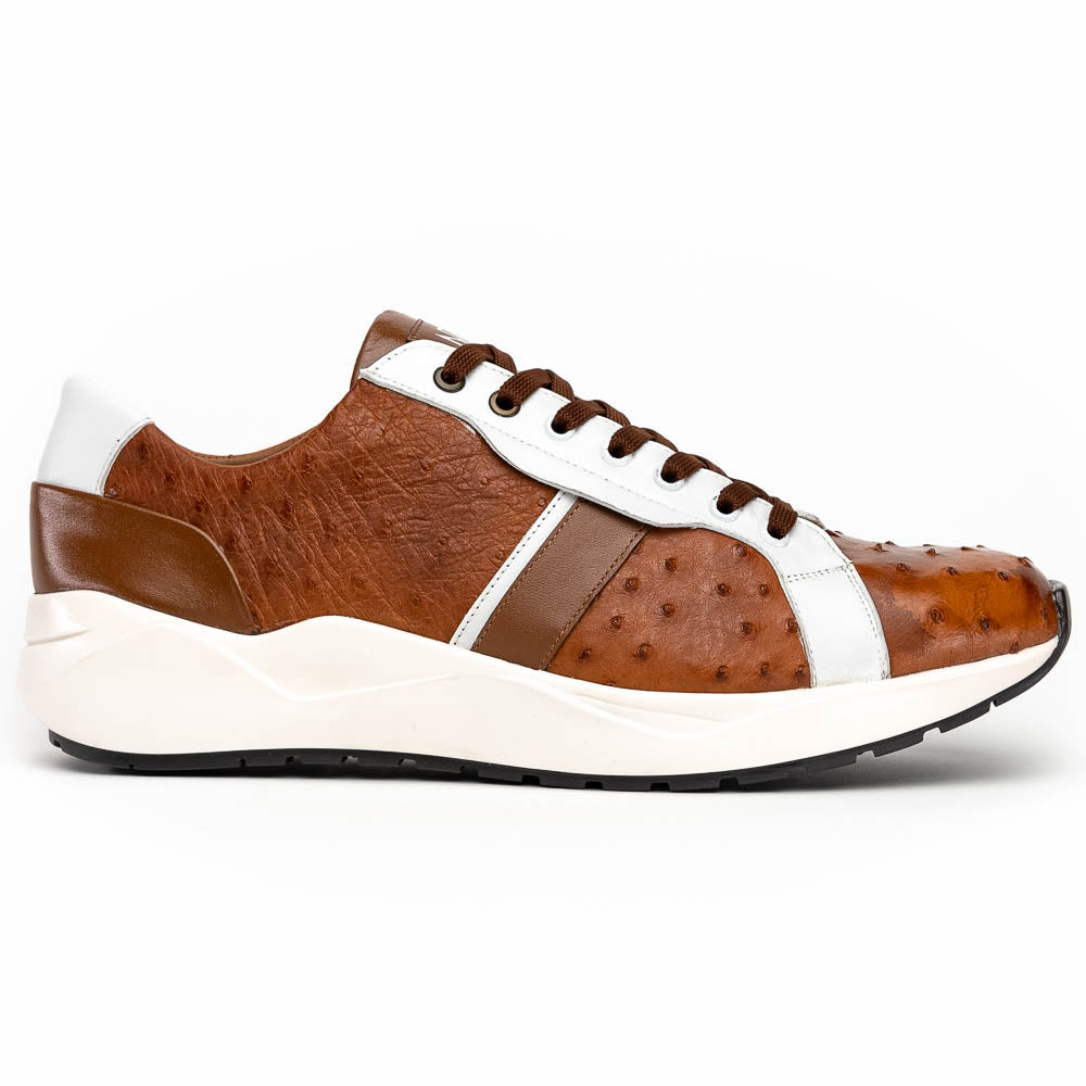Lyon II Brandy / White