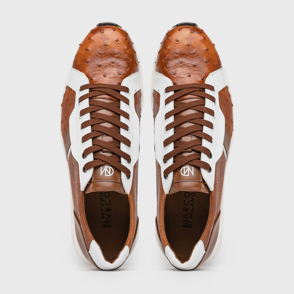 Lyon II Brandy / White