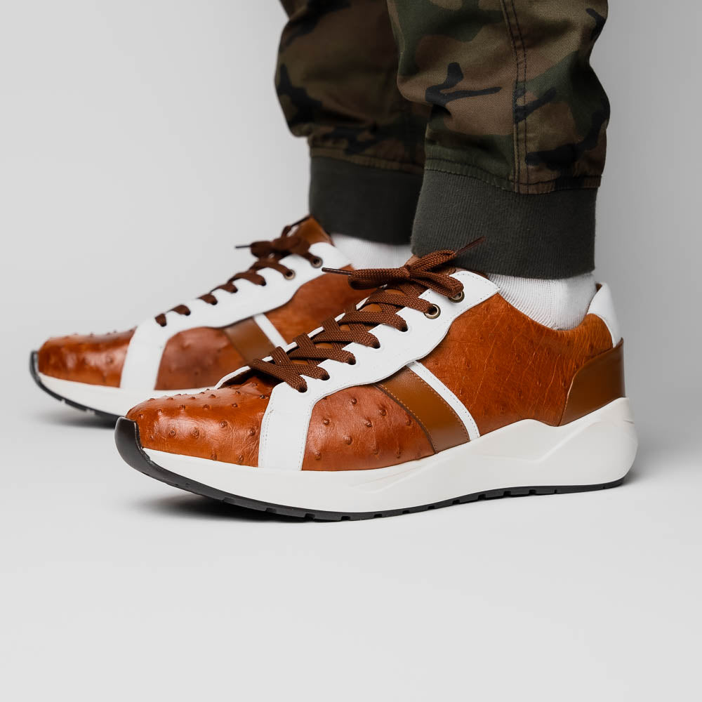 Lyon II Brandy / White