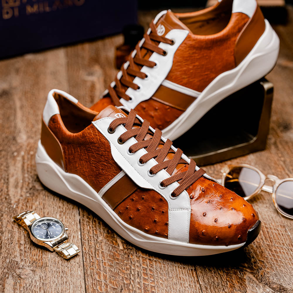Lyon II Brandy / White