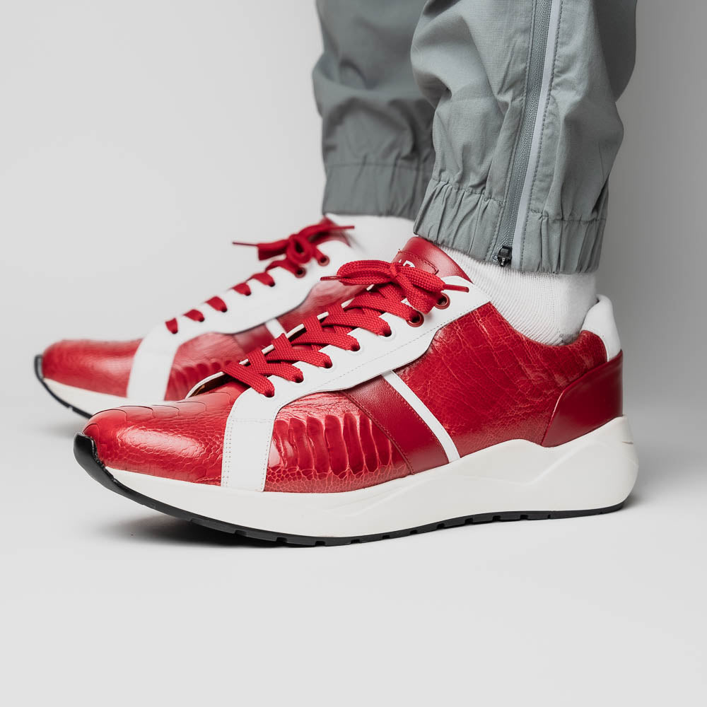 Lyon Red / White