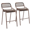 Rio Barstool (Set of 2) Brown