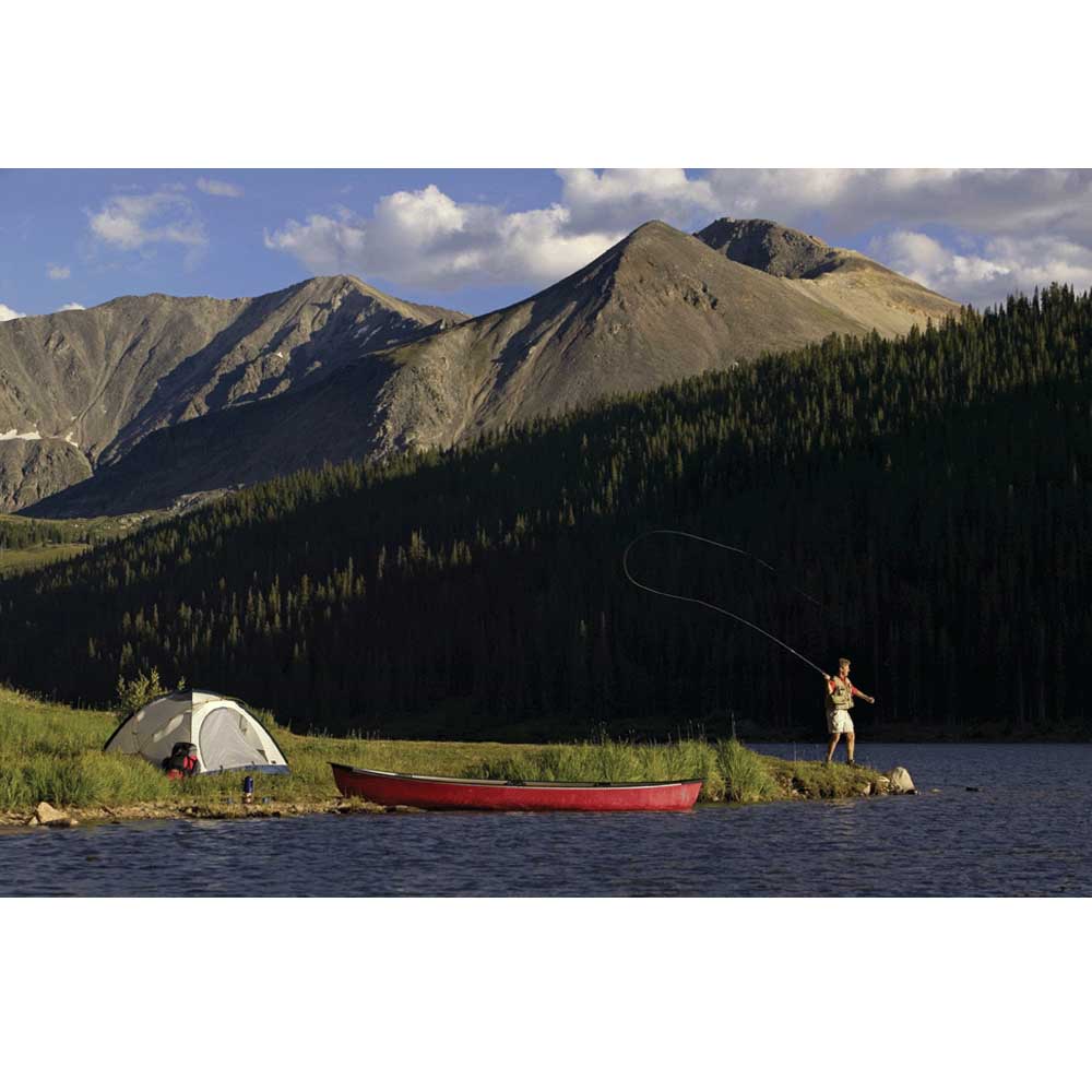 Majestic Sportsman Gloss Poster (4 Sizes Available)