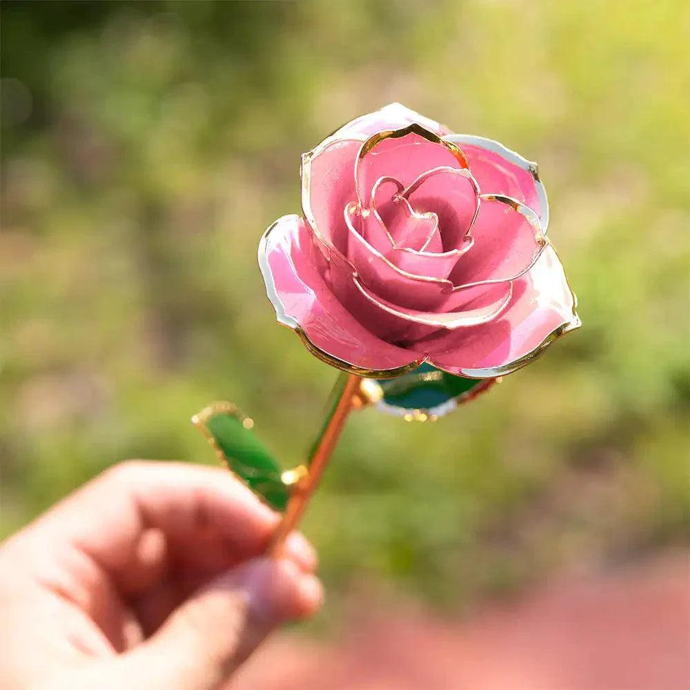 24K Gold Plated Rose Gift