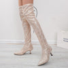 Pointed Over The Knee High Top Fashion Boots - Champagne / 35