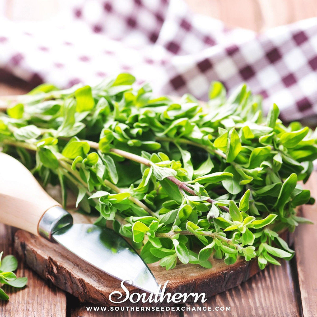 Sweet Marjoram – 100 Seeds