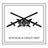 Montague & Capulet Crest Decorative Pillow * CUSTOMIZABLE *