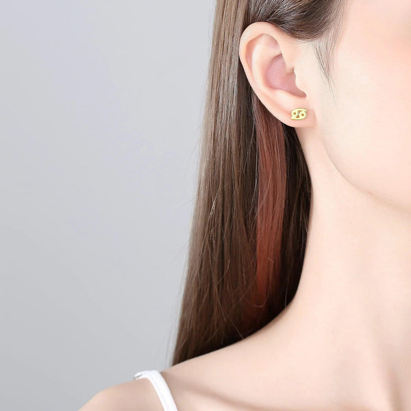 Plain Zodiac Earrings - Gifts for You 'n Me