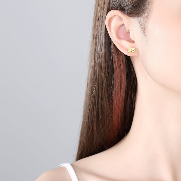 Plain Zodiac Earrings