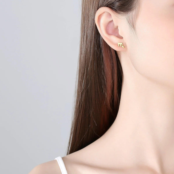 Plain Zodiac Earrings - Gifts for You 'n Me