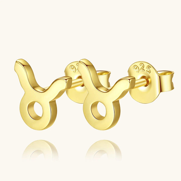 Plain Zodiac Earrings - Gifts for You 'n Me