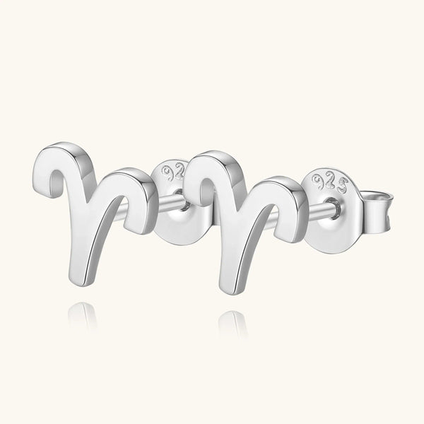 Plain Zodiac Earrings - Gifts for You 'n Me