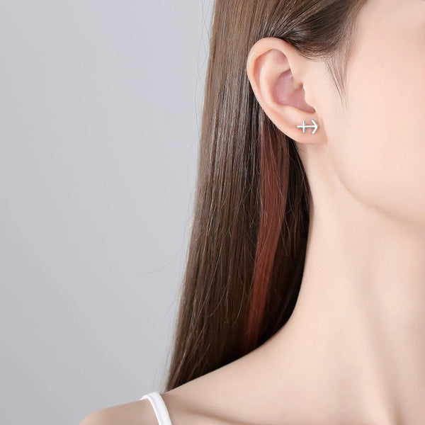 Plain Zodiac Earrings - Gifts for You 'n Me
