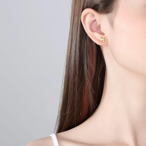 Plain Zodiac Earrings - Gifts for You 'n Me