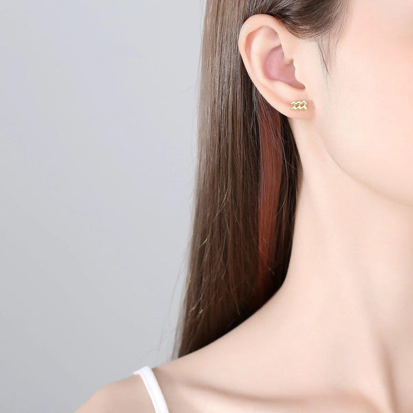 Plain Zodiac Earrings - Gifts for You 'n Me