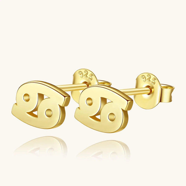 Plain Zodiac Earrings - Gifts for You 'n Me