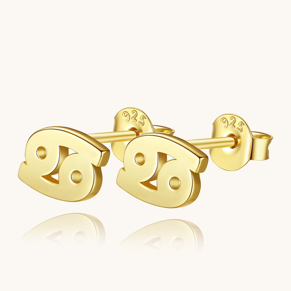 Plain Zodiac Earrings