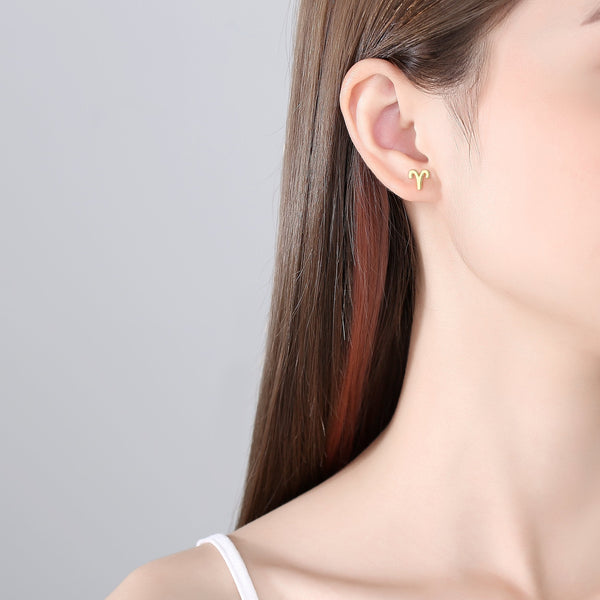 Plain Zodiac Earrings