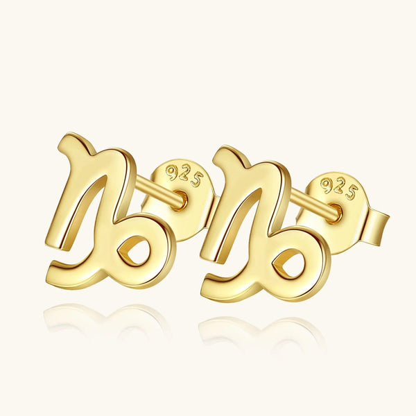 Plain Zodiac Earrings - Gifts for You 'n Me