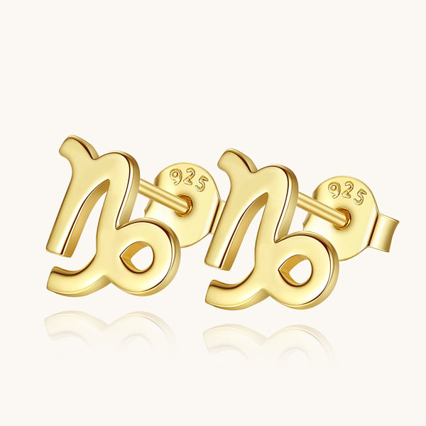 Plain Zodiac Earrings