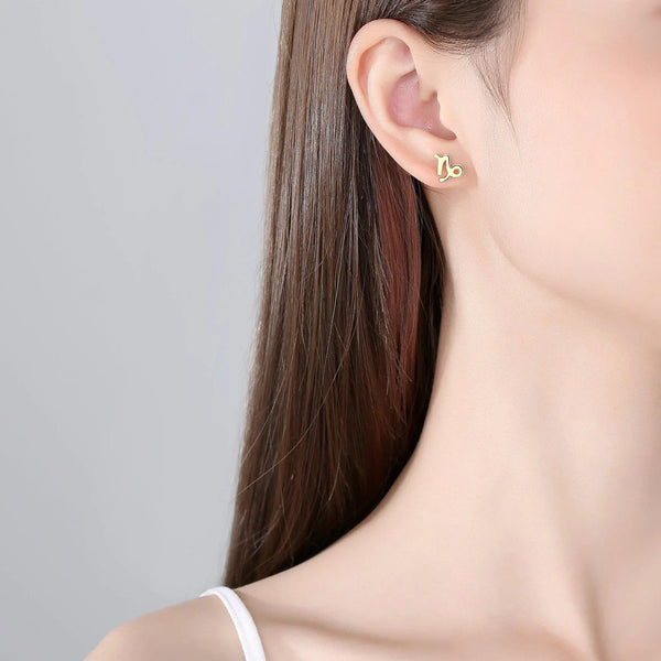 Plain Zodiac Earrings - Gifts for You 'n Me
