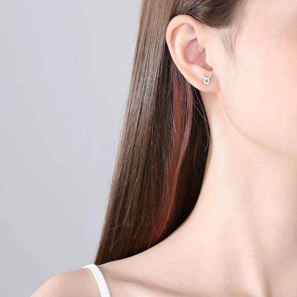Plain Zodiac Earrings - Gifts for You 'n Me