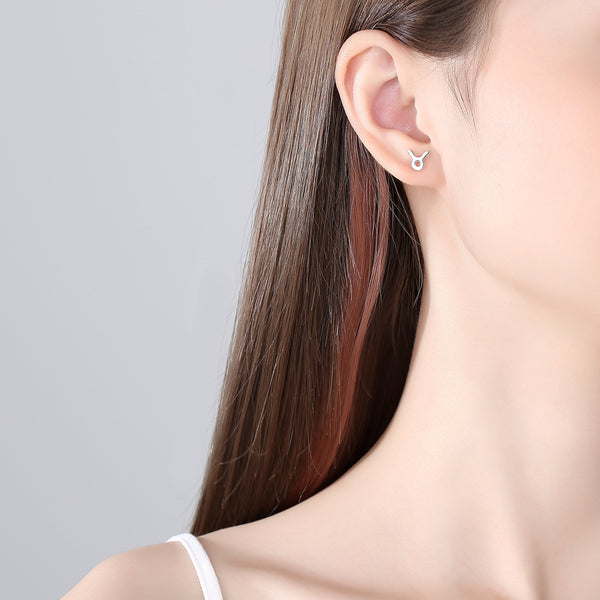 Plain Zodiac Earrings