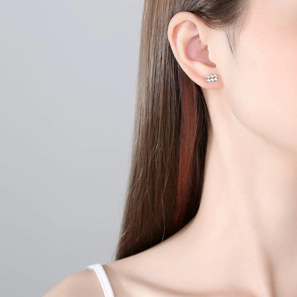 Plain Zodiac Earrings - Gifts for You 'n Me
