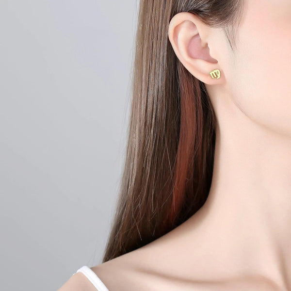 Plain Zodiac Earrings - Gifts for You 'n Me