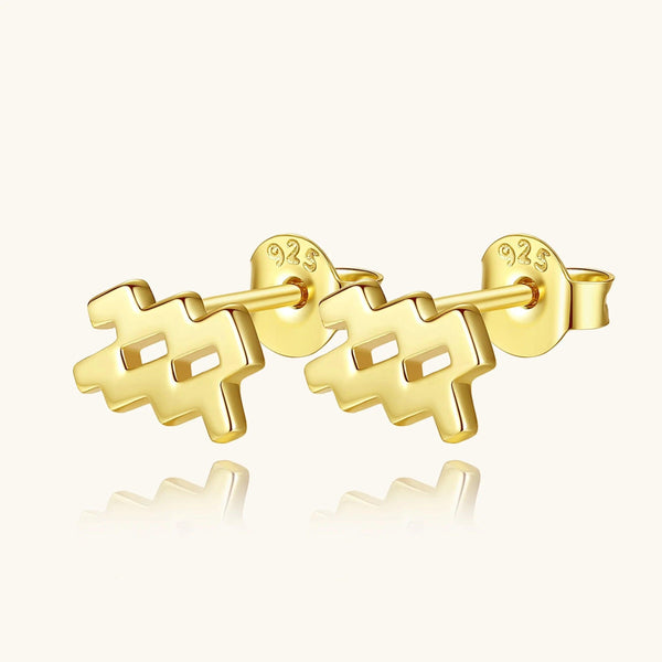 Plain Zodiac Earrings - Gifts for You 'n Me