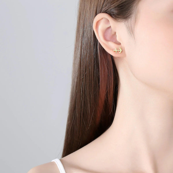 Plain Zodiac Earrings - Gifts for You 'n Me