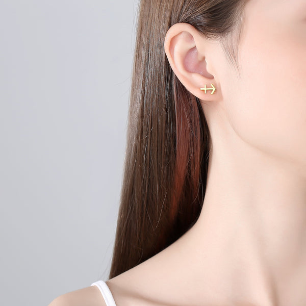 Plain Zodiac Earrings