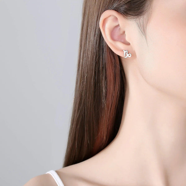 Plain Zodiac Earrings - Gifts for You 'n Me