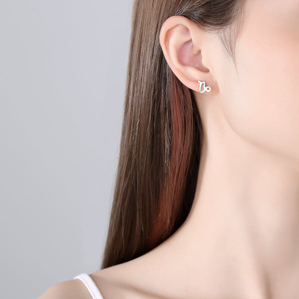 Plain Zodiac Earrings