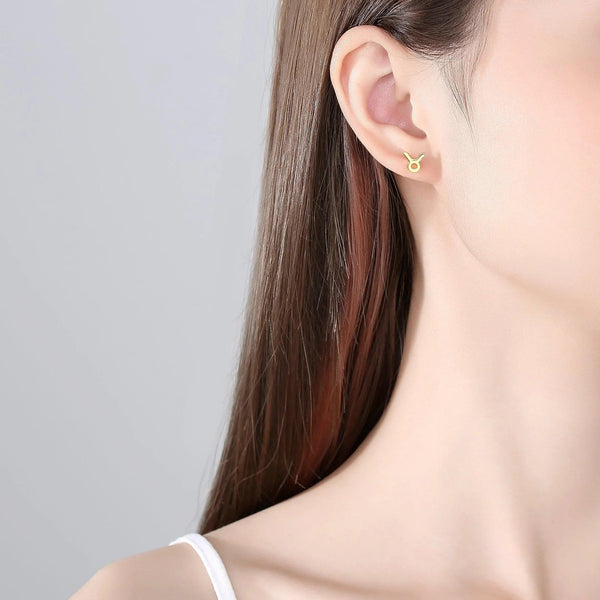 Plain Zodiac Earrings - Gifts for You 'n Me