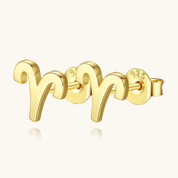 Plain Zodiac Earrings - Gifts for You 'n Me