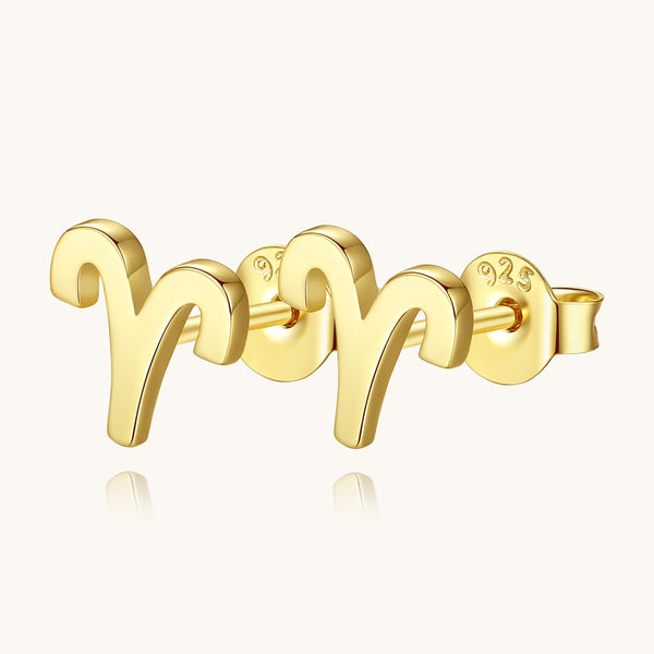Plain Zodiac Earrings