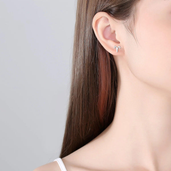 Plain Zodiac Earrings - Gifts for You 'n Me