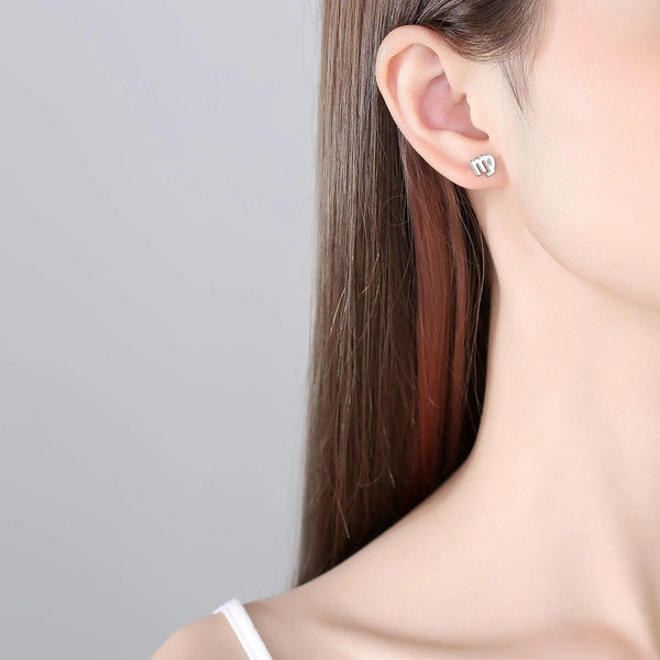 Plain Zodiac Earrings - Gifts for You 'n Me