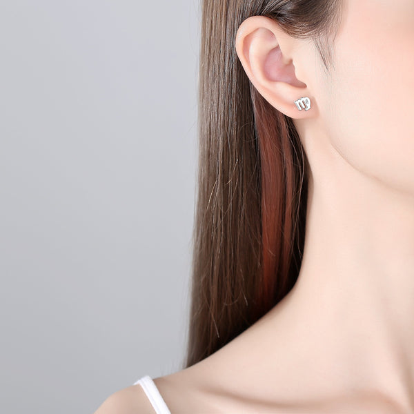 Plain Zodiac Earrings