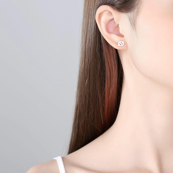 Plain Zodiac Earrings - Gifts for You 'n Me