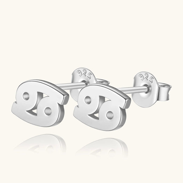 Plain Zodiac Earrings - Gifts for You 'n Me