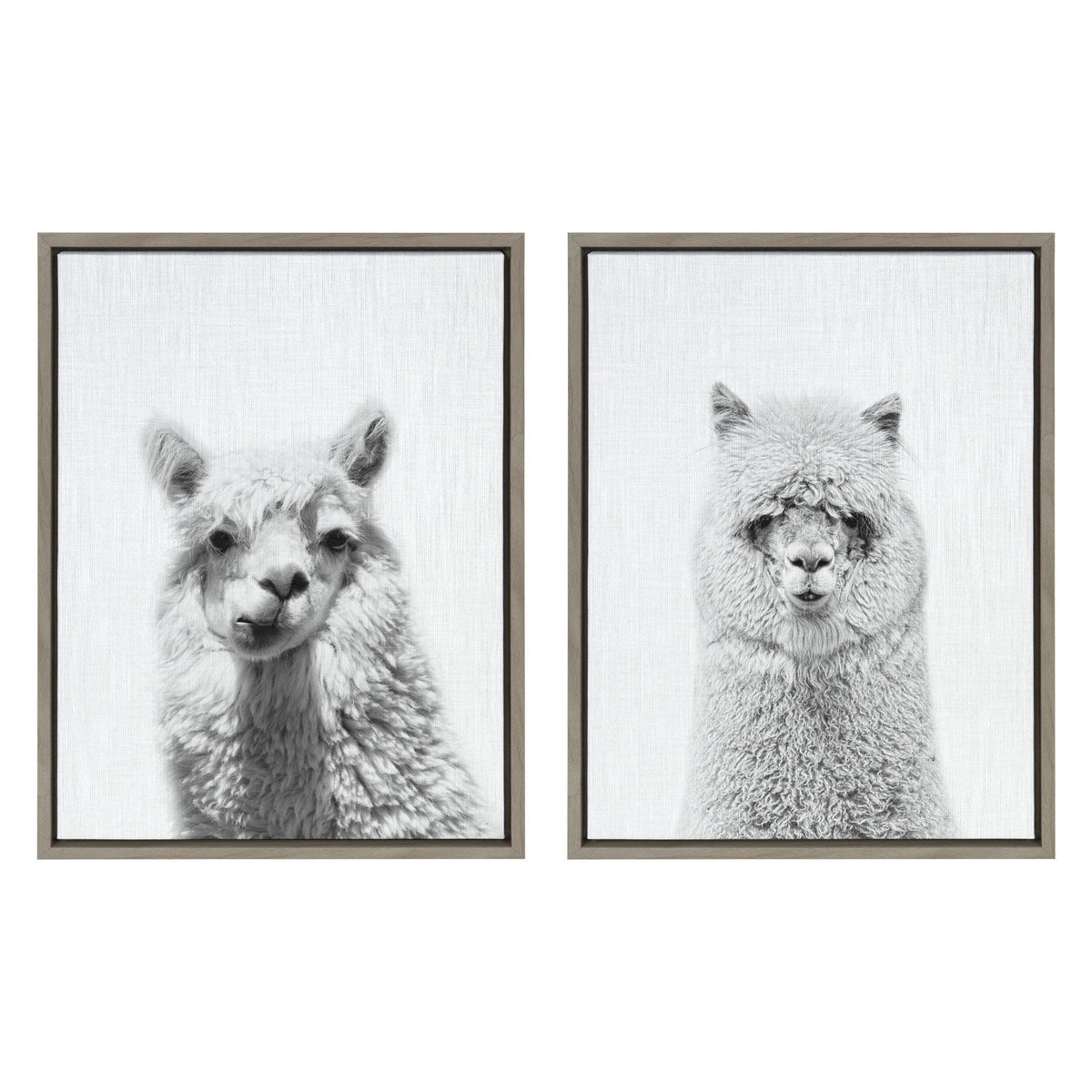 Sylvie Alpaca Portrait Set Framed Canvas By Simon Te