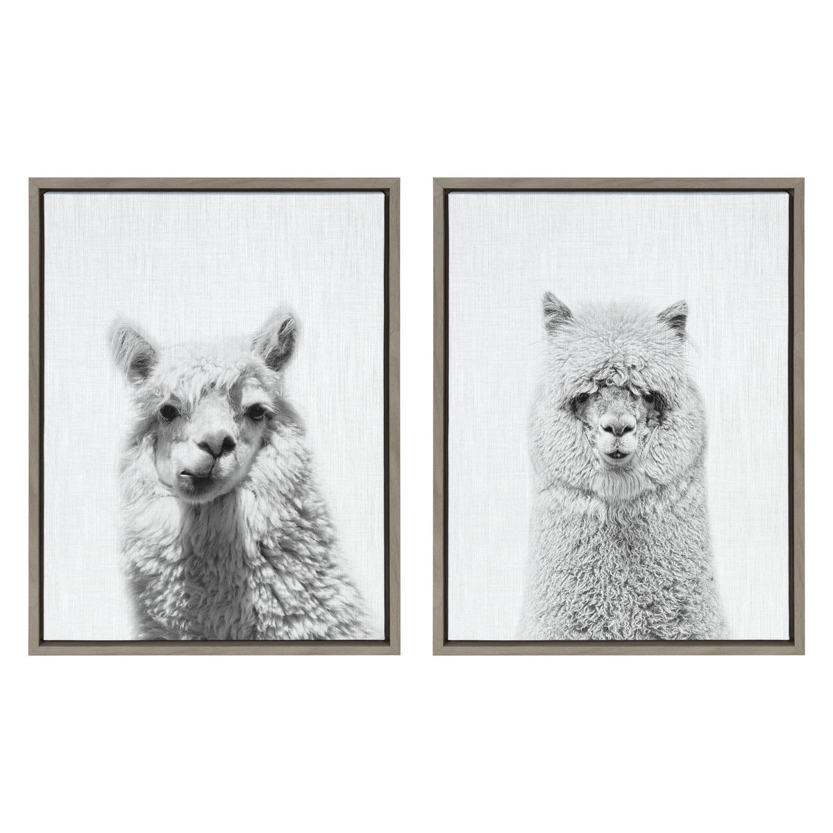Sylvie Alpaca Portrait Set Framed Canvas By Simon Te