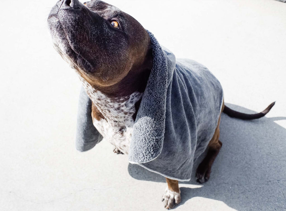 Microfiber Pet Towel Set - Quick Drying & Soft for Pets