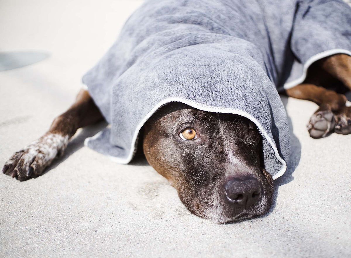 Microfiber Pet Towel Set - Quick Drying & Soft for Pets