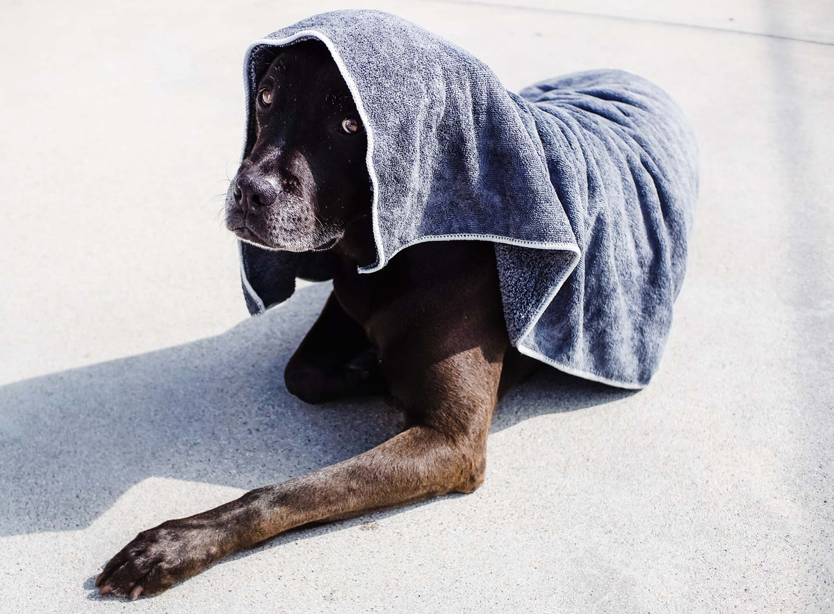 Microfiber Pet Towel Set - Quick Drying & Soft for Pets